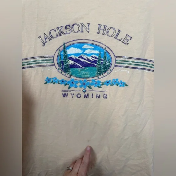 Vintage Single Stitch Tee Anvil Jackson Hole Wyoming T-Shirt XL - Picture 5 of 6
